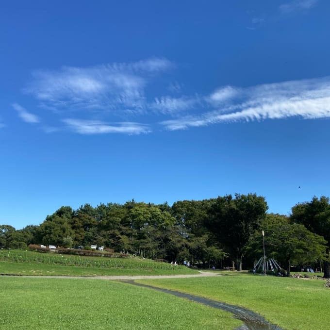 名古屋市北区周辺のおすすめスポット「名城公園」